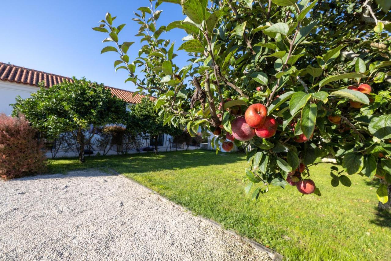 Casa Da Lagoa E Forja - Turismo Rural Villa Mira  Kültér fotó